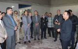 احیای تنها کارخانه خوراک دام رفسنجان پس از دو سال تعطیلی