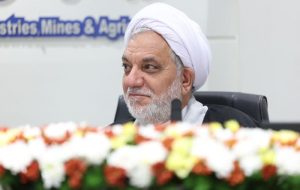 قوانین سخت‌گیرانه قاچاق، فعالان اقتصادی را قربانی کرده/ طرح کدینگ سوخت نتیجه مؤثری نداشته است