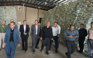 بازار جنوب استان در آرامش کامل و مملو از کالاهای اساسی است