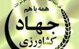 جوجه‌ریزی در واحدهای مرغداری استان به بیش از ۸۰ درصد رسید