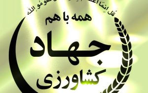 جوجهریزی در واحدهای مرغداری استان به بیش از ۸۰ درصد رسید جوجهریزی در واحدهای مرغداری استان به بیش از ۸۰ درصد رسید